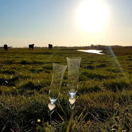 Apartman Heimathafen